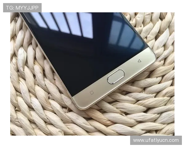 M6体育入口全站登录指南帮助用户快速安全进入体育娱乐平台
